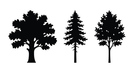 Three deciduous and coniferous tree silhouettes against a white background a simple botanical illustration silhouette trees evergreen foliage © APIM02SN