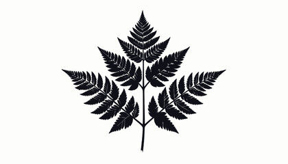 Black silhouette of a fern leaf. © Muh