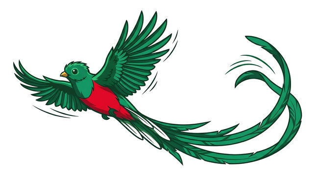 Quetzal Bird Flying Illustration with Vibrant Green Plumage and Red Chest