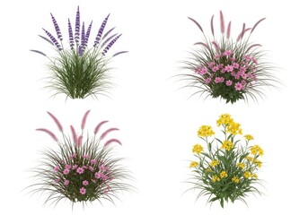 Obraz premium Set of four different decorative garden plant bushes with colorful flowers and green grass leaves isolated for landscaping design projects and natural environment decoration elements