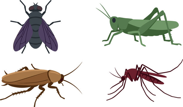 Flat Vector Cartoon Illustration Set Featuring Common Household Pests and Insects with a Housefly Green Grasshopper Brown Cockroach and Maroon Mosquito Designs