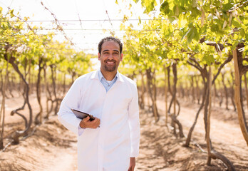 Fototapeta premium Professional Middle Eastern male vineyard agronomist in white lab coat holding digital tablet computer while conducting precision viticulture field