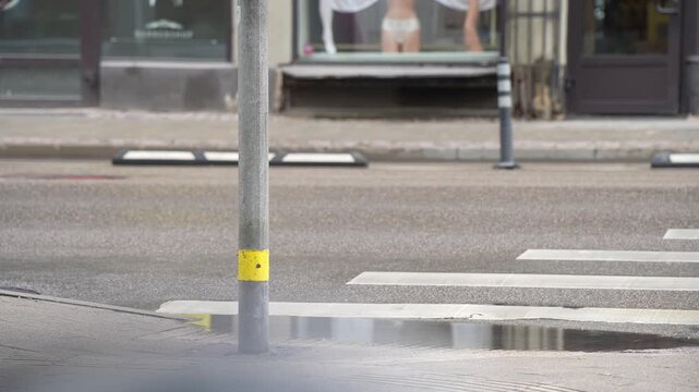 Metal lamp post beside a white striped zebra crossing on damp asphalt with a rainwater puddle, emphasizing city transit infrastructure