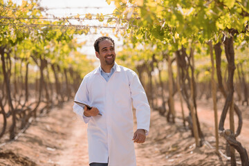 Fototapeta premium Confident male Middle Eastern viticulture agronomist or oenologist in professional white lab coat walking purposefully through sunny grape vineyard