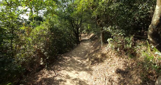 First-person view walking along flat dirt path on hillside, MacLehose Trail in Lion Rock Country Park. Sunlight filters through leaves of trees and bushes, casting dappled shadows on ground.