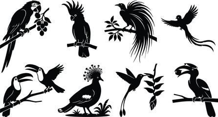 Tropical birds black silhouette vector collection featuring parrot, toucan, cockatoo, and hummingbird illustrations © Rina