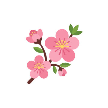 Pink cherry blossom branch with green leaves on white background