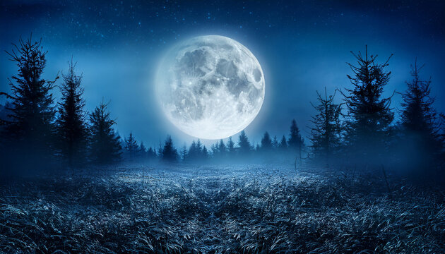 Forest On Moonlit Night