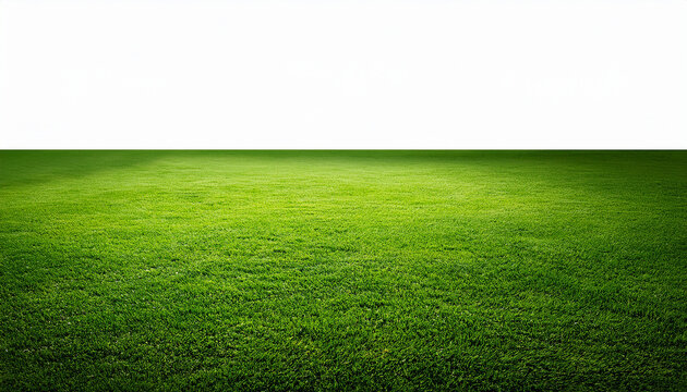 Green Lawn Isolated