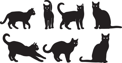 Black cat silhouettes, feline icons, cat graphics, animal shapes isolated on Transparent Background © Riponislam