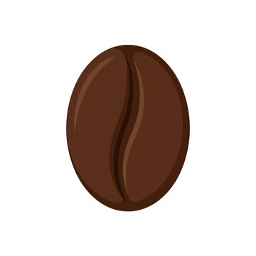 Close-up of a single roasted coffee bean isolated on white