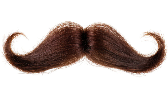 Dark brown handlebar mustache with curled ends, isolated on transparent background
