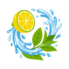 Fresh lemon slice with water splash and green mint leaves © hujang