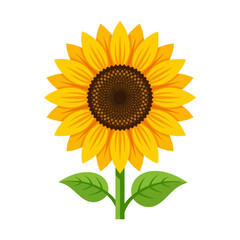 Obraz premium A vibrant yellow sunflower illustration on a white background