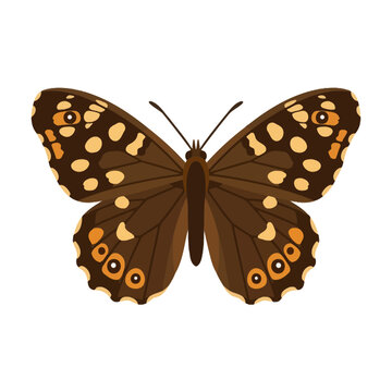 A detailed brown butterfly with yellow spots resting gracefully