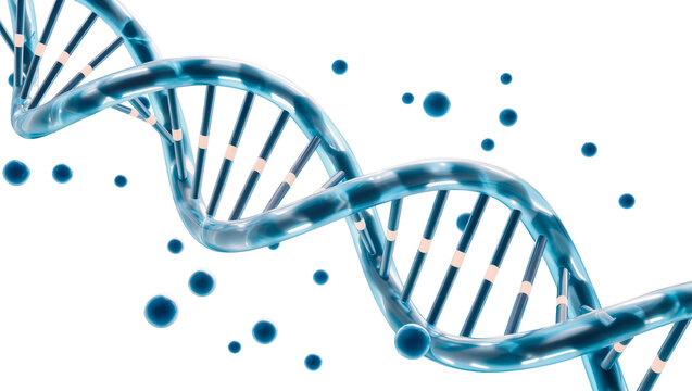 Blue translucent DNA helix with small blue spheres, isolated on transparent background