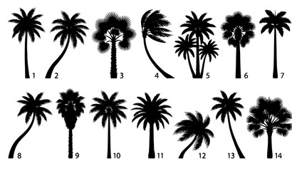 Obraz premium Monochrome Tropical Palm Tree Silhouettes Vector Set for Summer and Coastal Landscapes