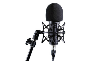 Isolated professional studio condenser microphone on a stand with a pop filter © Gabriel