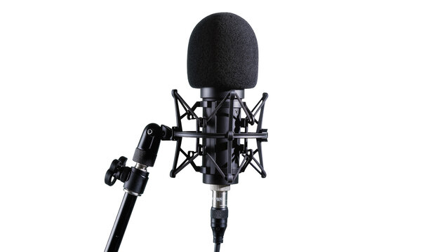 Isolated professional studio condenser microphone on a stand with a pop filter