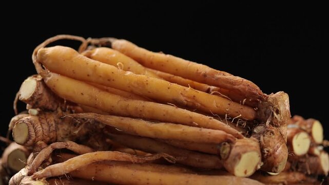 Pile of fresh raw fingerroot roots slowly rotating black background, traditional Thai herb.
