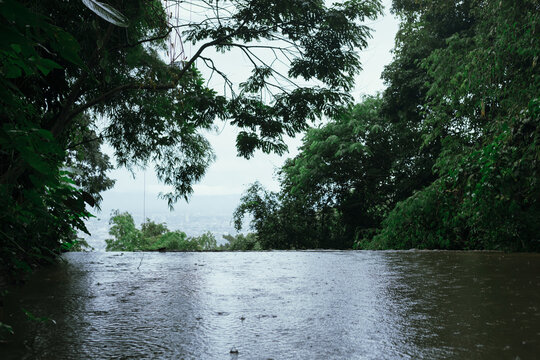 a tranquil scene in a forest temple in northern Thailand.