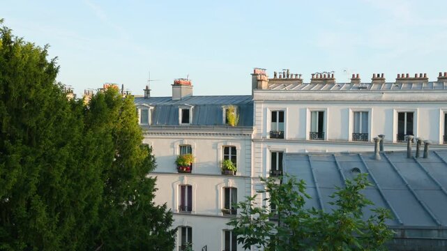 A very slow camera tilt up showcasing the elegant white facades, zinc rooftops, and chimney pots of classic Parisian apartments bordered by lush green trees.