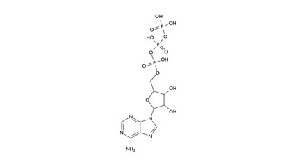 Obraz premium atp molecule, structural chemical formula, ball-and-stick model, isolated image nucleotide triphosphate compound
