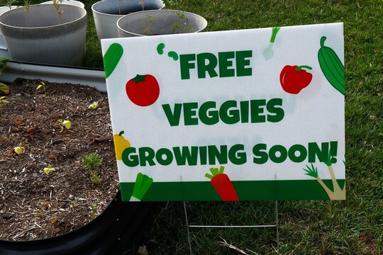 Free Veggies Growing soon sign