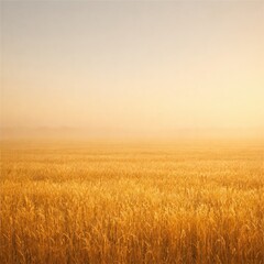 Obraz premium Golden wheat field shines under warm sunset haze across calm rural harvest landscape in summer light