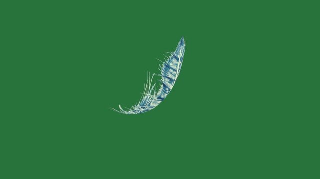 A blue feather on green background and bird flying through the air in sky white horse with green screen cartoonish