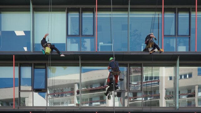 Professional cleaning crew washes glass facade of corporate office building. Industrial window washers use ropes and squeegees for skyscraper facility maintenance services and work safety.