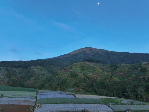 Aerial view of the lush terraced vegetable fields on the slopes of Mount Sumbing under a clear blue sky at dawn in Kecamatan Kaliangkrik, Jawa Tengah, Indonesia.
