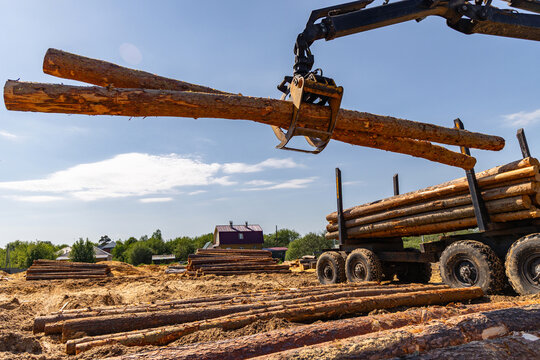 Log Loader Crane Handling Timber on Forestry Site with Stacked Logs