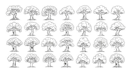Trees shown as a series of hand-drawn illustrations display diverse shapes and silhouettes of woodland vegetation against a clean white backdrop. © Adam