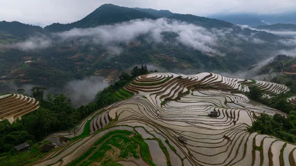Fototapeten Reisfelder Hmong farmers prepare their fields and plant rice on terraced fields . Photo taken in Tuyen Quang on June 20, 2026   © huong
