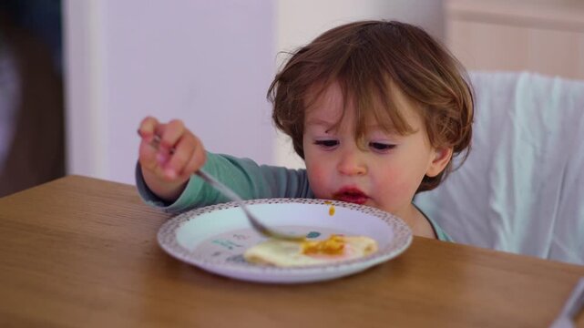 Toddler eating independently with fork at dining table in family home, highlighting self feeding skills, childhood development, growing confidence and everyday family life