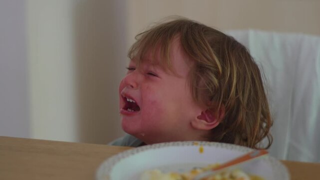 Crying toddler at dining table during family mealtime at home, highlighting childhood emotions, distress, need for comfort, caregiving and authentic family life