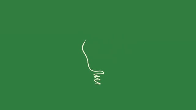 The words cash and money bunny sign green screen frame design cartoonish