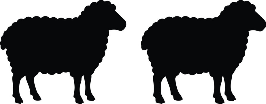 Black sheep silhouette vector set, minimalist farm animal icons, woolly ewe and ram profile shapes for agriculture branding and logos