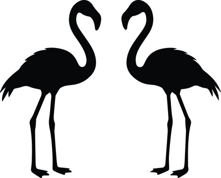 Flamingo silhouette vector illustration, pair of tropical birds facing each other, black exotic flamingo icons on white background