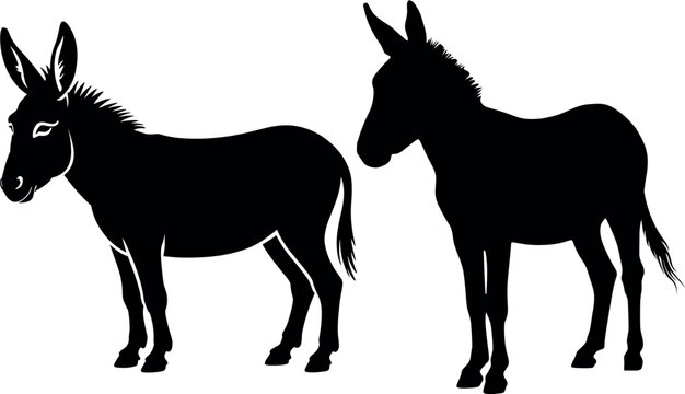 Title:

Donkey silhouette vector illustration collection of two farm animals with detailed outlines isolated on a clean white background