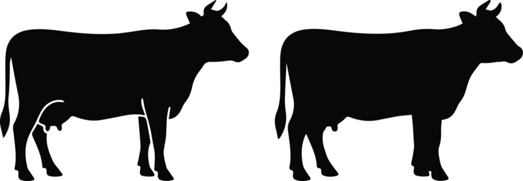 Black cow silhouette vector set, dairy cattle farm animal icons, standing bull and heifer profile shapes for butchery and milk branding