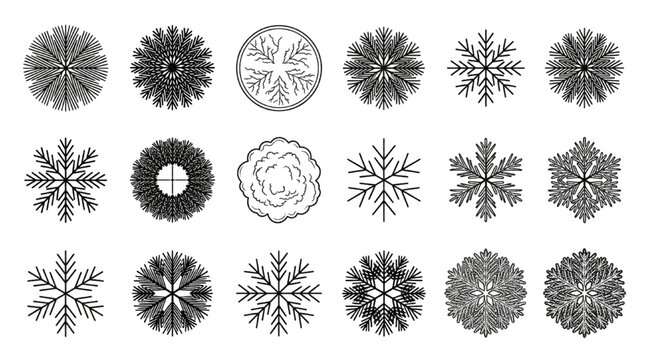 Radial evergreen tree plan view icons for winter landscape architecture master plans