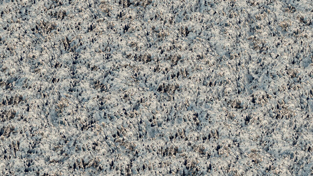 The surface of the planet Pluto