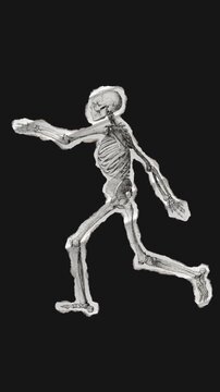 A drag and drop skeleton anatomy themed ephemera that animates into place from torn paper.
