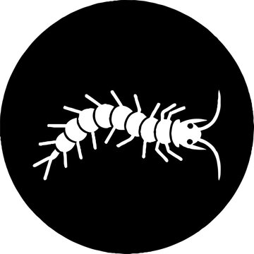 Detailed illustration of a millipede insect silhouette.