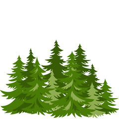 Coniferous forest © Prozel Creator