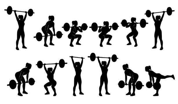 Female Weightlifting Silhouette Vector Set with Various Gym Workout Poses Including Squats Deadlifts Overhead Press and Barbell Exercises for Crossfit Fitness Training Layouts