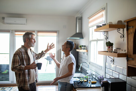 Mature couple arguing in sunny home kitchen
