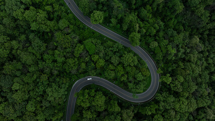 Obraz premium Electric vehicle or EV electrical energy for environment on forest road, Sustainable energy transportation, Electric car and EV electric energy for environment.